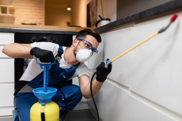 Best Pest Prevention Services  in North Plymouth, MA