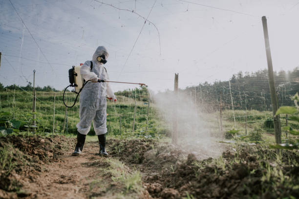 Best Best Pest Control Companies  in North Plymouth, MA