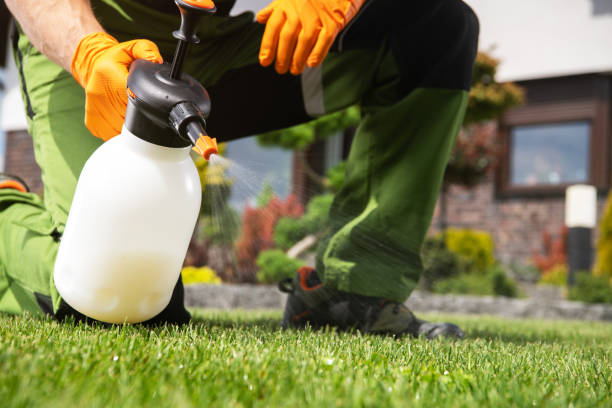 Trusted North Plymouth, MA Pest Control Experts