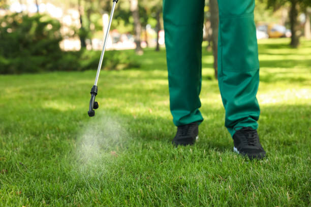 Best Rat Extermination Near Me  in North Plymouth, MA