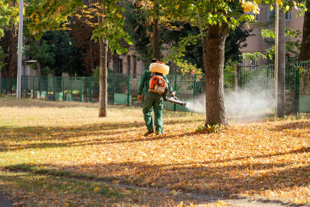 Best Pest Removal Services  in North Plymouth, MA