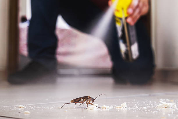Best Cockroach Control Services  in North Plymouth, MA