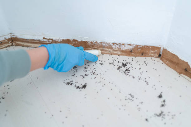 Pest Control Cost in North Plymouth, MA