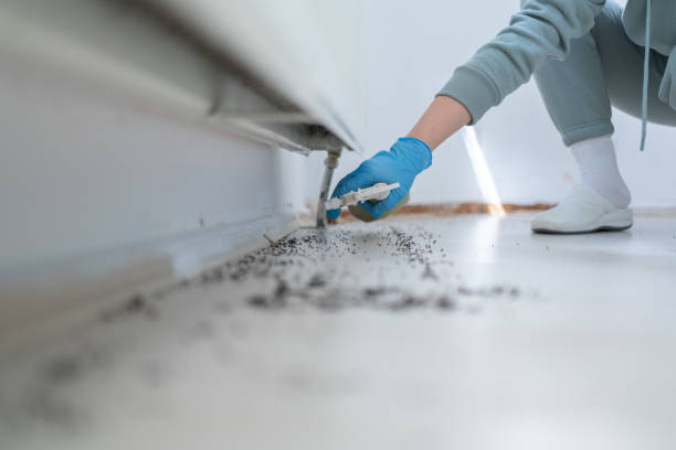 Best Bird Control  in North Plymouth, MA