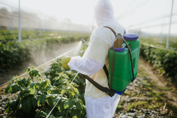 Best Residential Pest Control  in North Plymouth, MA